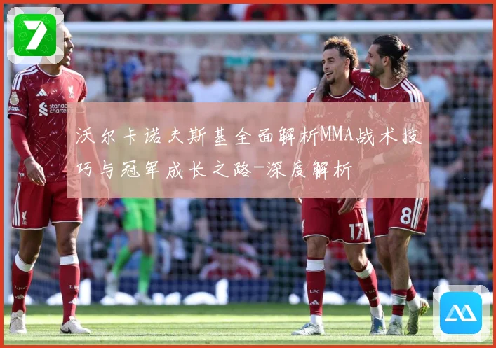 沃尔卡诺夫斯基全面解析MMA战术技巧与冠军成长之路-深度解析